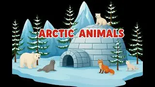 Learn Arctic Animal Names for Kids | Fun Learning Video