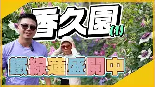 【田尾系列41】2026 香久園(1)：夢幻鐵線蓮爆開中！好多好看植物你太慢就買不到惹~~~我是愛種花的伊恩，這是一個分享種植物的小頻道，讓我們一起變綠手指吧。