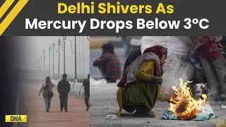 Delhi Shivers At 2.9&deg;C; Orange Alert For Cold Wave In National Capital Today, Tomorrow | Delhi News