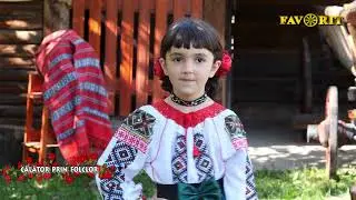 Anisia Cirjan Sporea   Melcul si ploaia