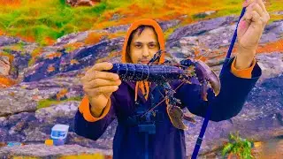Lobster Fishing 🦞ലോബ്സ്റ്റർ പിടുത്തത്തിലെ എന്റെ ആദ്യ പരീക്ഷണം | Irish Mallu Angler