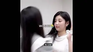 Wonhee gets mad at Iroha for calling her cute 😧 #illit #wonhee #iroha #shorts