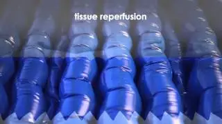 TALLEY QUATTRO ELEARNING VIDEO HD