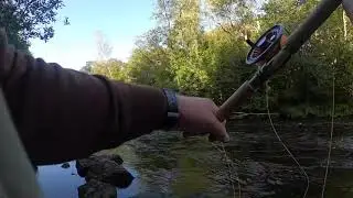M&ouml;rrum, fly fishing for trout September