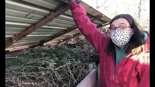 Compost Basics