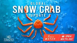 3MMI - Snow Crab: Have Prices Hit the Bottom? Holiday Buying Surge