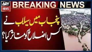 27 Districts Severely Affected by Floods in Punjab, Says PDMA