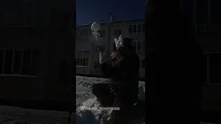 A lump of snow:3/Комочек снега:3 #foxtherian #therian #1fox #furry #сваты6 #parkour #dance #theriant