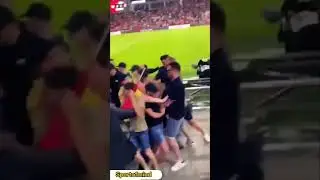 stadium fight in the stands #shorts #football #fight