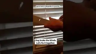 Fast and easy way to fix broken blinds #short #fyp #like #love #happy #diy #dog