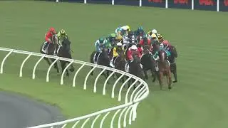 Aotearoa Classic 2026 - TUXEDO (4YO SW G3) Group 3 Ellerslie NZ 24 January