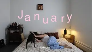 january diaries (solo beach day, DIY, reading update)