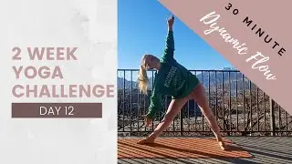 30 Minute Dynamic Flow - 2 Week Yoga Challenge Day 12