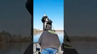 Does Fishing Make You Feel That Way?? Watch Till End! #shorts #bassfishing #ditchpanda #fishing