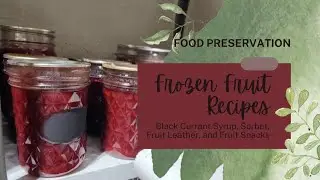 Clean out your Freezer with These Recipe Ideas!