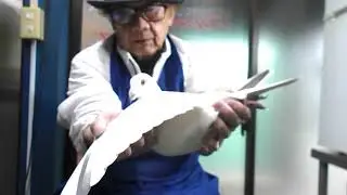 ２０２５－０２－０７　白鳩格安分譲