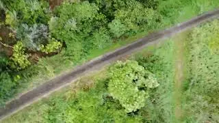 hawk attacked drone! grabbed it mid flight and flew to a tree where it was dropped