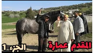 سلسلة رائعة بامتياز👍👍 مع المقدم عمارة فتيسة  مع أجود ومنبع الخيول🐴 بالمغرب