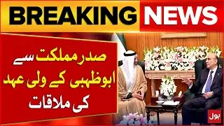 President Asif Ali Zardari Meet Abu Dhabi Crown Prince | Pakistan And UAE  Relations | BOL News