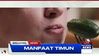 Video berita manfaat timun #pelajaranbahasaindonesia #berita