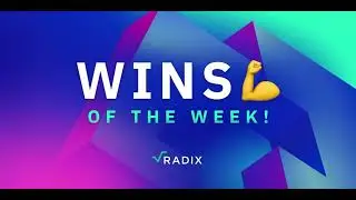 Radix: Redefining the Landscape of Decentralized Finance