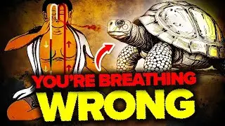 Manifest your reality by using the Tortoise Breath method at 3 breaths per minute.