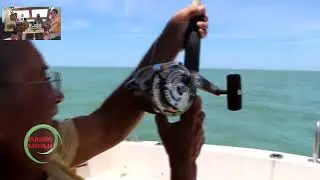 PARAISO NATURAL PROGRAMA 722 Tiburones 9 1 2026