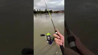 Danube fishing #fishing #ultralight #bassfishing #angling