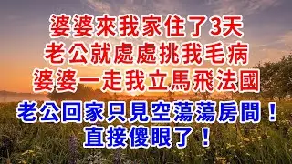 婆婆住我家3天，老公就變臉挑我毛病？婆婆離開當天，我買機票飛法國，老公回家傻站空房！