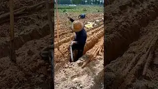 The Famous Powerful LuoYang Spade Best Digging Tool #satisfying #short
