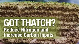 2 Minute Turf Talk - Got Thatch?