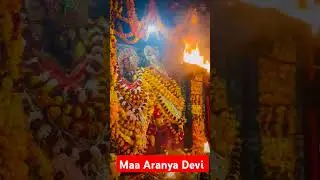 Maa Aranya Devi mandir/Aara/ #shorts #jaimatadi #ytshorts #explore #pawansingh