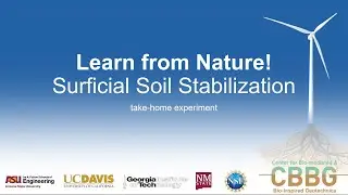 Learn from Nature! Surficial Soil Stabilization
