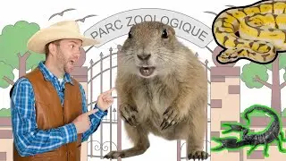 Les animaux déjantés avec Cowboy Jack : 1h de fun pour les enfants