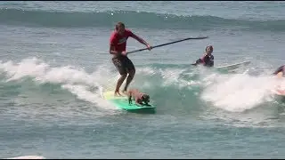Surfing Dogs Take Over Duke's Oceanfest in Waikiki - Freesurf Magazine