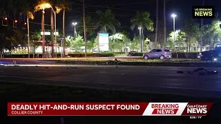 Sunday night hit-and-run crash in Collier County leaves bicyclist dead