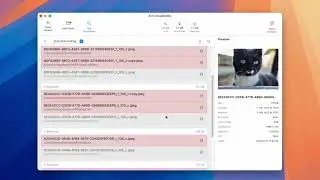 Find and Remove Duplicate Files with Confidence on Your Mac