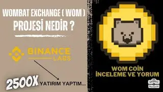 WOMBAT EXCHANGE ( WOM ) nedir ? WOM COİN İNCELEME - 2500X