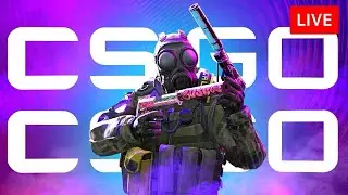 Blaze Purple vs TPE 2.0 | CS2 | Каст | LIVE