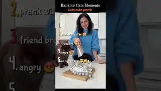 Cat Cake Prank Gone Wrong 😹 | Part 2 #shorts #cats #funnycats #catmoments #cakeprank  #viral