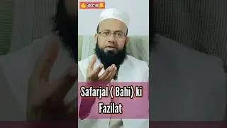 Safarjal Bahi ki fazeelat#islamicstatus #islamicshort #islamicbayan #viralvideo #deen #islamic