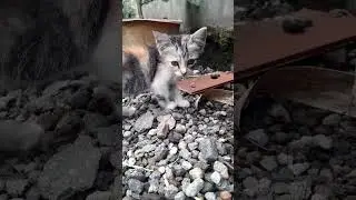 Olla mencari martin kemana ya ? #fyp