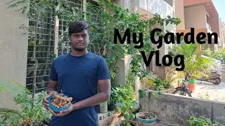 आज हम गार्डन से निकलेंगे कुछ खास चीज | My Garden Vlog 😍 | Subscribe My Youtube Channel 🙏🏻