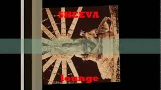 mowree(sheeva lounge)-inside