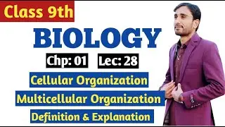 Multicellular Organization || Definition & Explanation || 9th Bio Chp 01 Lec 28
