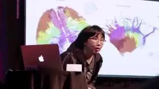 Lydia Ng - Construction of a mesoscale mouse brain connectome
