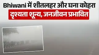 Bhiwani में कोहरे का असर, AQI 300, न्यूनतम तापमान 3 डिग्री