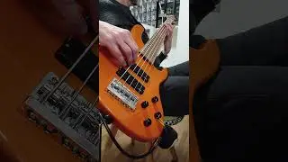Ozzye Osbourne Crazy Train #ozzyosbourne #sadowskybass #sadowsky #5strings #bassplayer #rockmusic