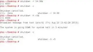 101.3 Using the shutdown command