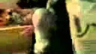 robertsavage@live.com